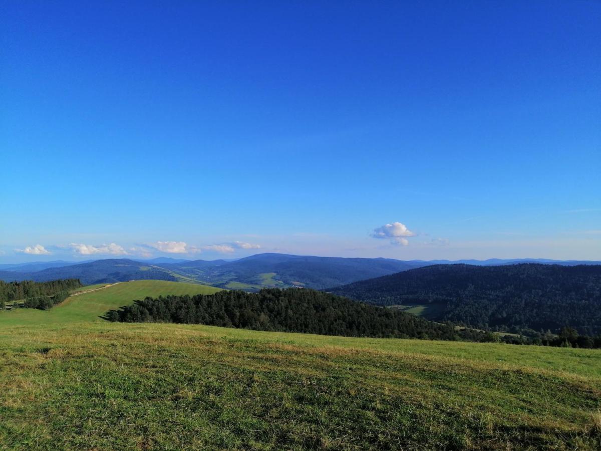 Rzepedka Villa Rzepedz Dış mekan fotoğraf