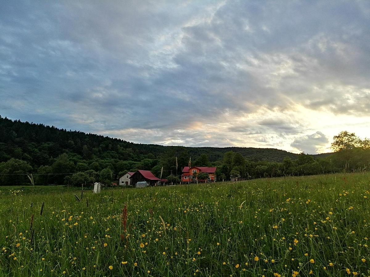 Rzepedka Villa Rzepedz Dış mekan fotoğraf