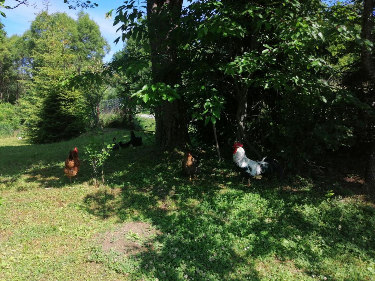 Rzepedka Villa Rzepedz Dış mekan fotoğraf