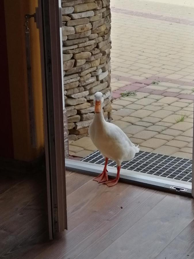 Rzepedka Villa Rzepedz Dış mekan fotoğraf