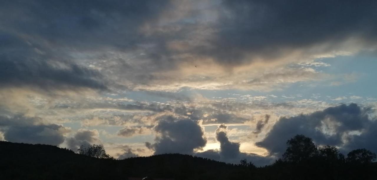 Rzepedka Villa Rzepedz Dış mekan fotoğraf