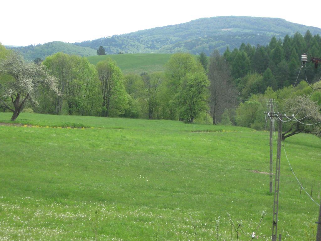 Rzepedka Villa Rzepedz Dış mekan fotoğraf